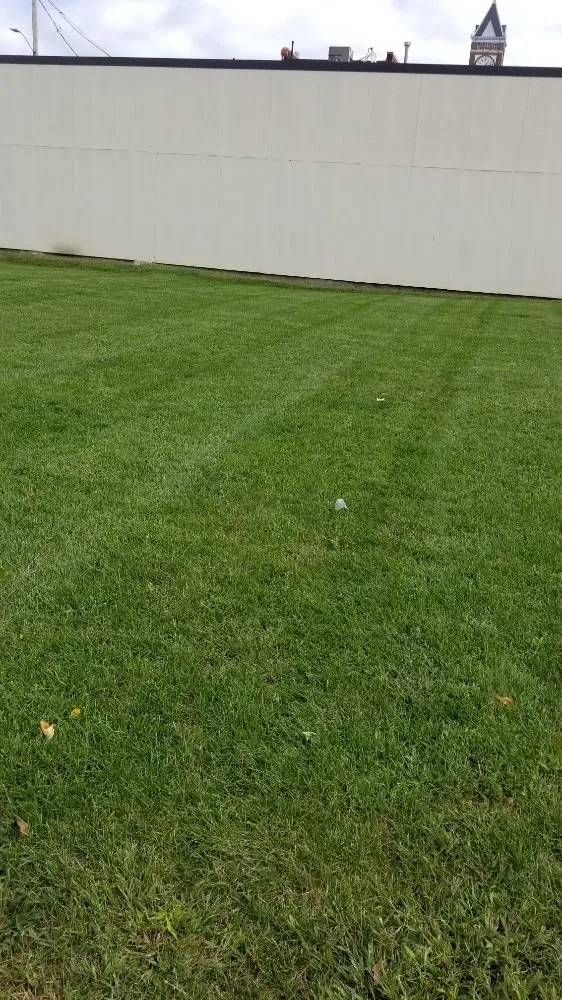 Affordable lawn mowing service with custom design across Eldora, IA - Roll and Sons Lawn Care