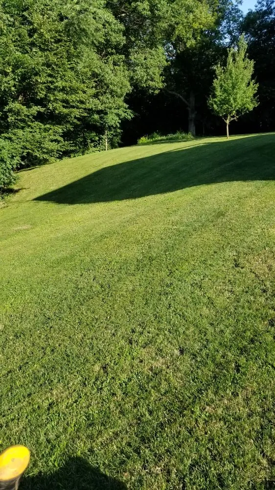 Local yard maintenance in Eldora, IA by Roll and Sons Lawn Care