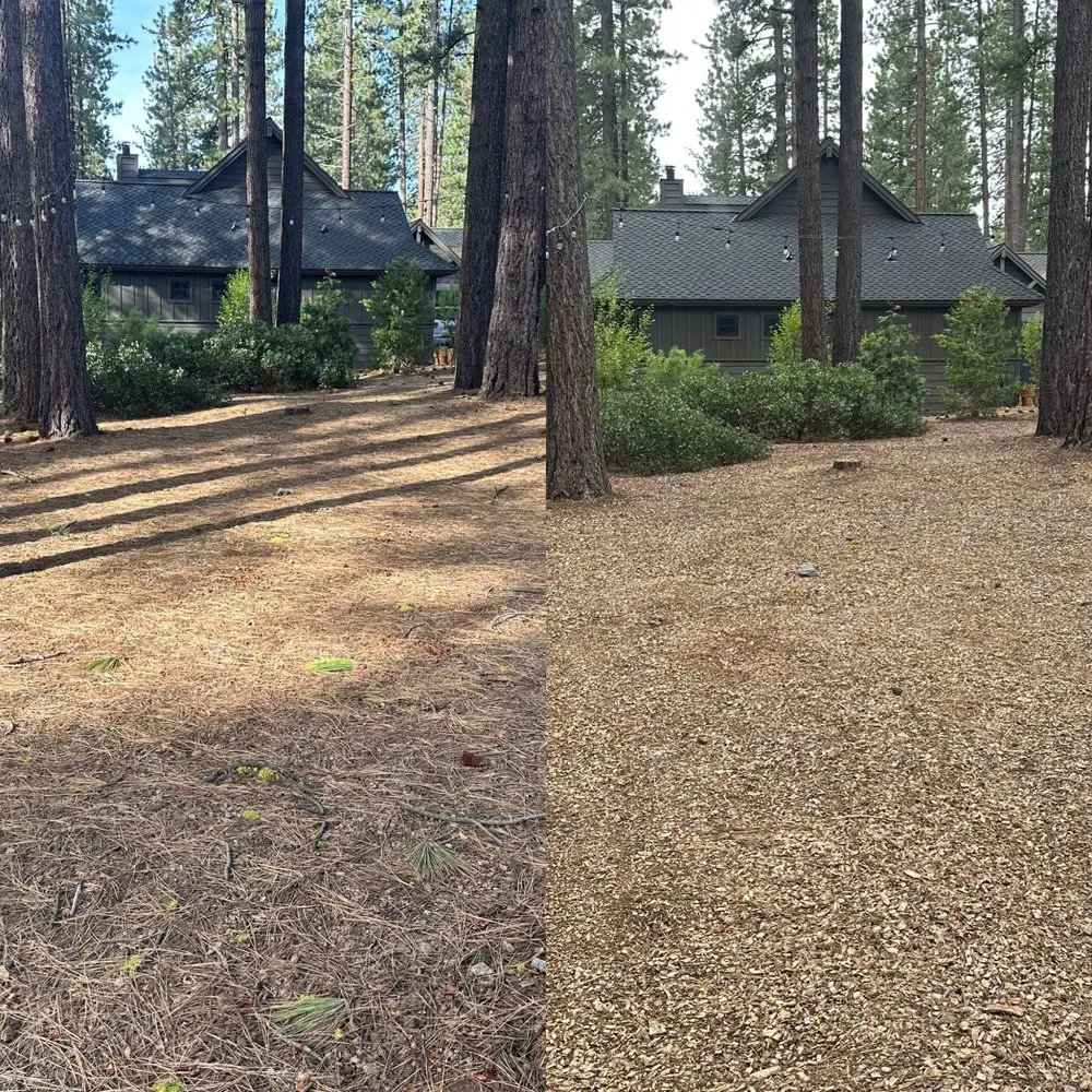 Custom landscaping services for year-round maintenance across Springfield, OR - Roller's Home and Business Maintenance