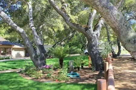 Affordable garden landscaping in Salinas, CA by Rollie Haas Master Landscapes