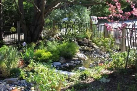 Affordable landscape installation in Salinas, CA - Rollie Haas Master Landscapes