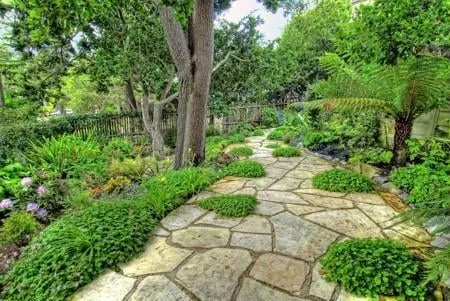 Trusted landscaping services for beautiful yards in Salinas, CA by Rollie Haas Master Landscapes