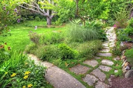 Top-rated landscaping services for residential properties across Salinas, CA - Rollie Haas Master Landscapes