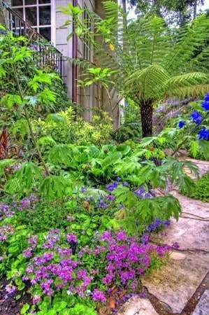 Local yard maintenance experts serving Salinas, CA - Rollie Haas Master Landscapes