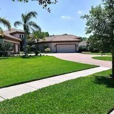 Local landscape design for beautiful yards in Tampa, FL by Rollin Green Lawn Care