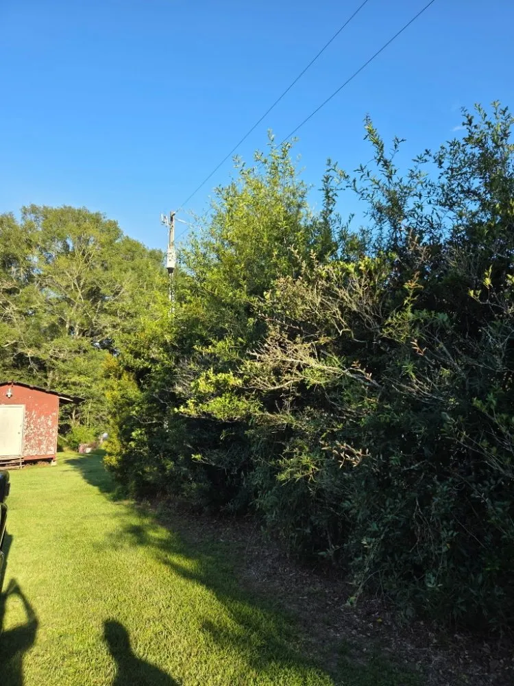 Top-rated lawn mowing service in Livingston, LA - Rollin Rite