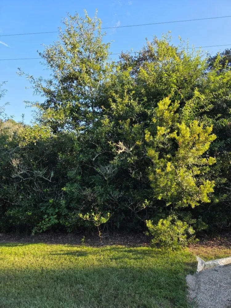 Affordable residential landscaping for homes in Livingston, LA by Rollin Rite