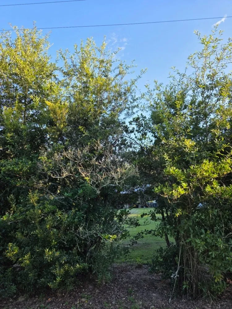 Top-rated outdoor landscaping for residential properties in Livingston, LA by Rollin Rite