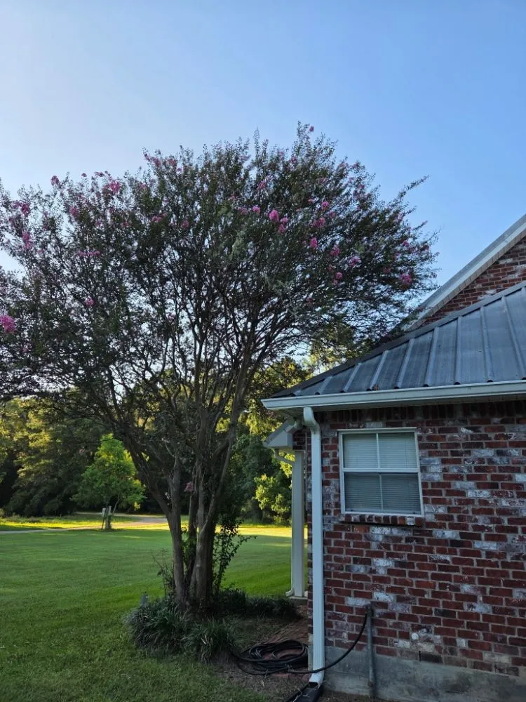 Reliable yard maintenance with custom design in Livingston, LA by Rollin Rite