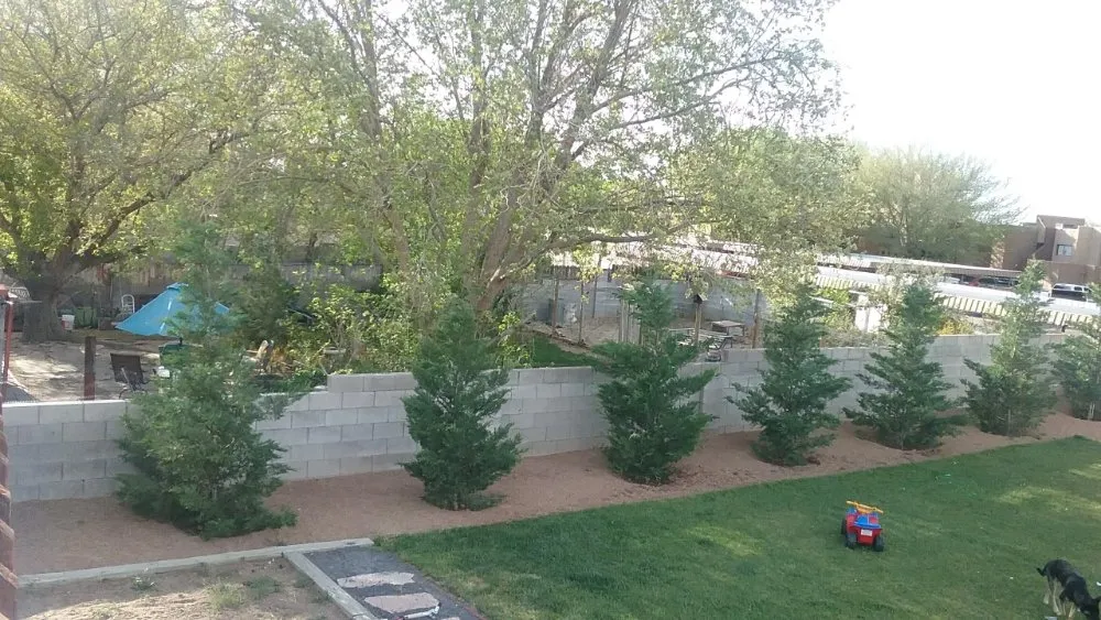 Local yard cleanup service experts serving Albuquerque, NM - Rollin rockz landscape management