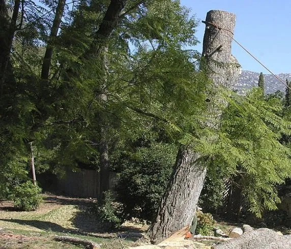 Trusted landscape design for homes across Mira Loma, CA - Rolling Green