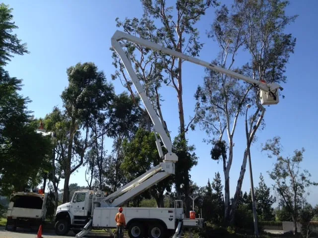 Trusted garden landscaping experts serving Mira Loma, CA - Rolling Green