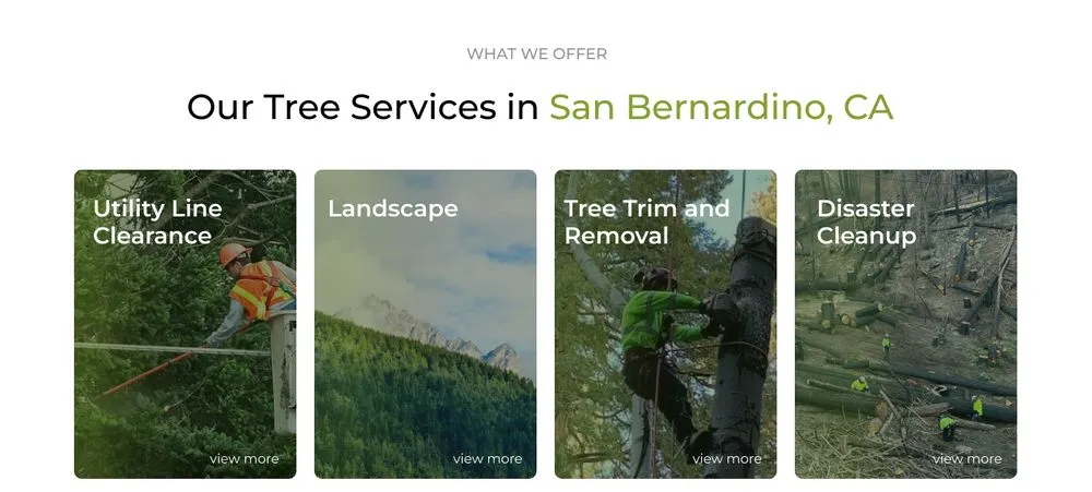 Professional residential landscaping experts serving Mira Loma, CA - Rolling Green