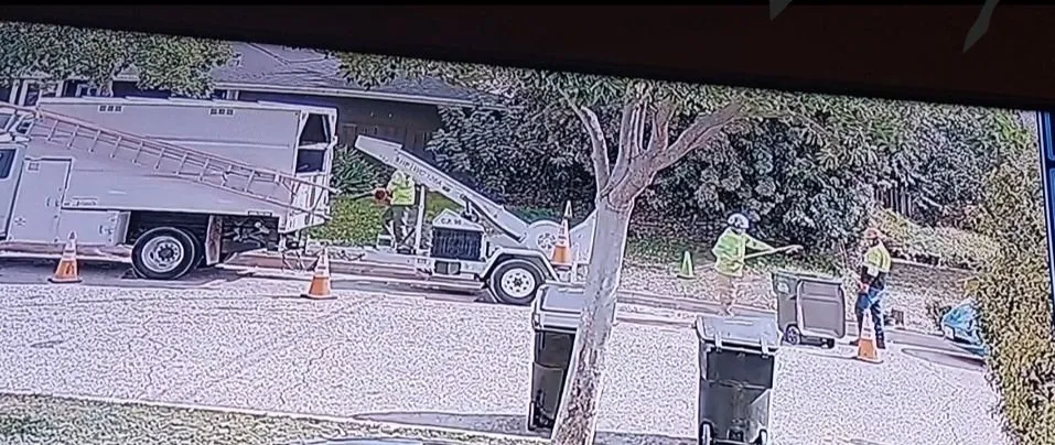 Affordable lawn mowing service experts serving Mira Loma, CA - Rolling Green