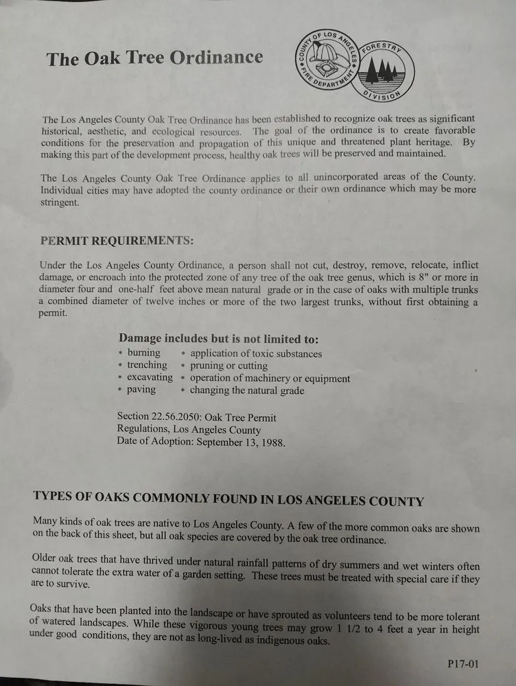 Expert yard maintenance in Mira Loma, CA by Rolling Green