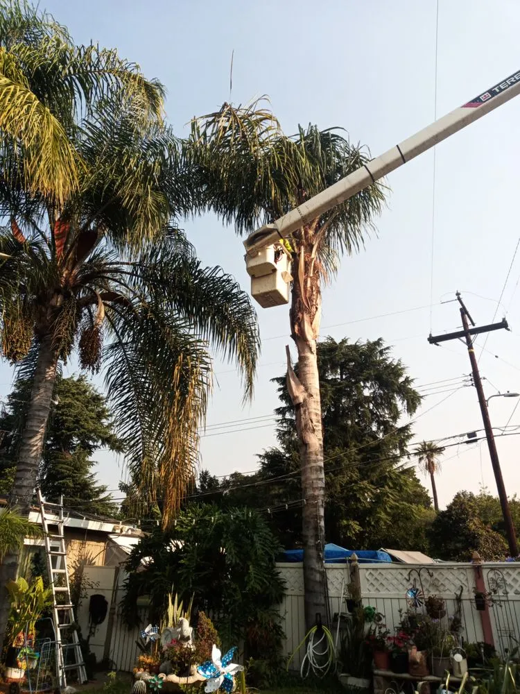 Reliable lawn care service with custom design in San Bernardino, CA by Rolling Green