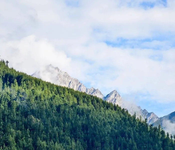 Expert yard maintenance experts serving San Bernardino, CA - Rolling Green