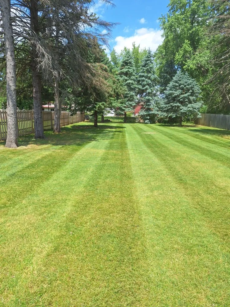 Reliable yard cleanup service experts serving Rockford, IL - Rolling green services