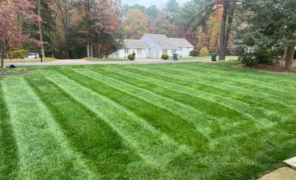 Reliable yard cleanup service for outdoor upgrades across Rockford, IL - Rolling green services