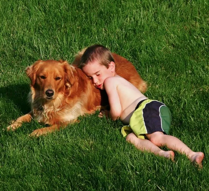 Local landscape installation in Lake Barrington, IL by Rolling Green Turf Care
