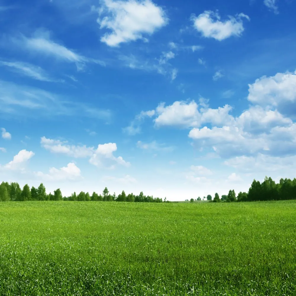 Professional landscape installation in Lake Barrington, IL - Rolling Green Turf Care