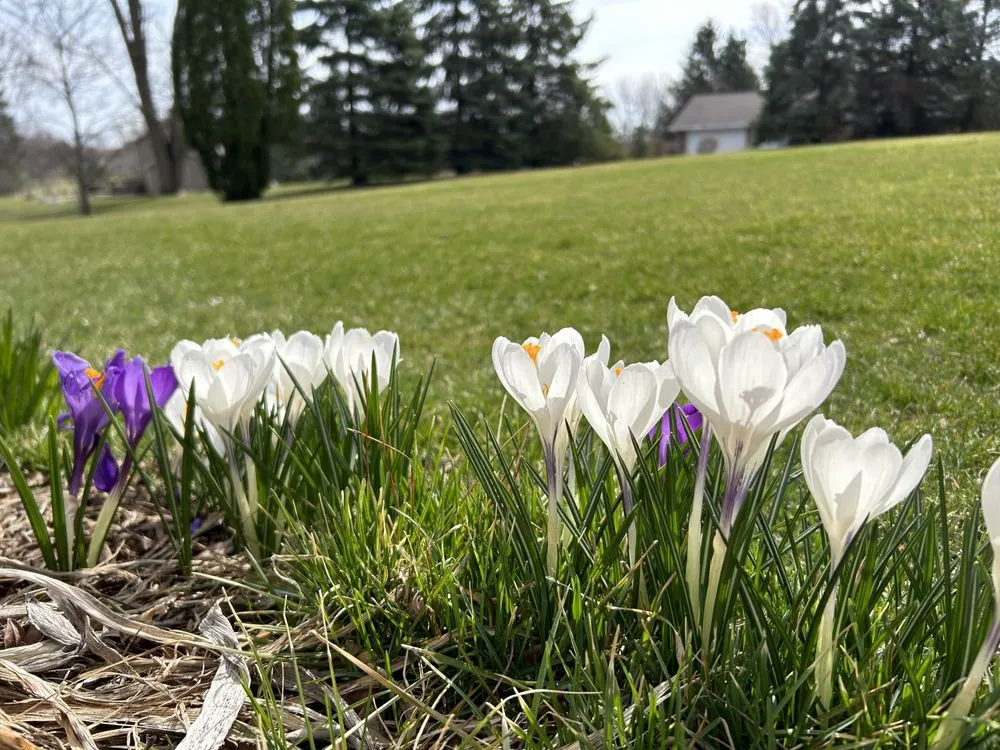 Trusted outdoor landscaping experts serving Lake Barrington, IL - Rolling Green Turf Care