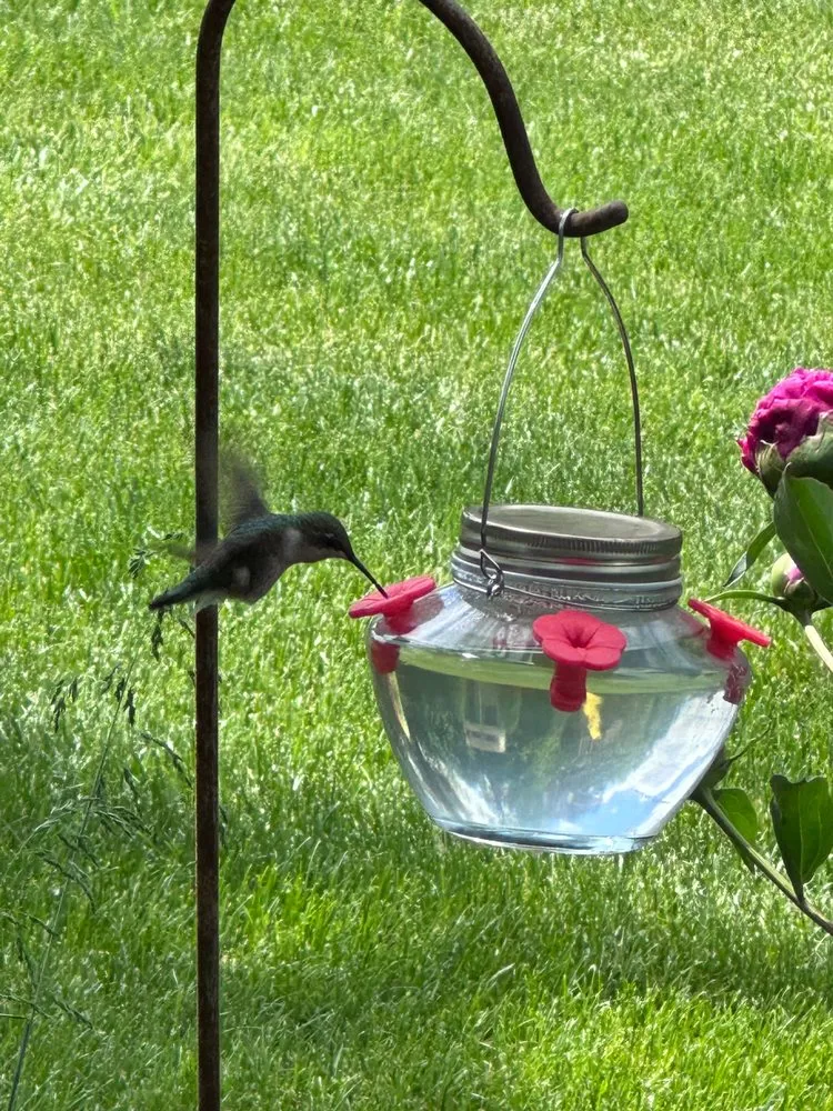 Local landscape design for year-round maintenance in Lake Barrington, IL by Rolling Green Turf Care