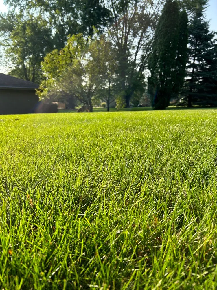 Local yard cleanup service near you in Lake Barrington, IL by Rolling Green Turf Care