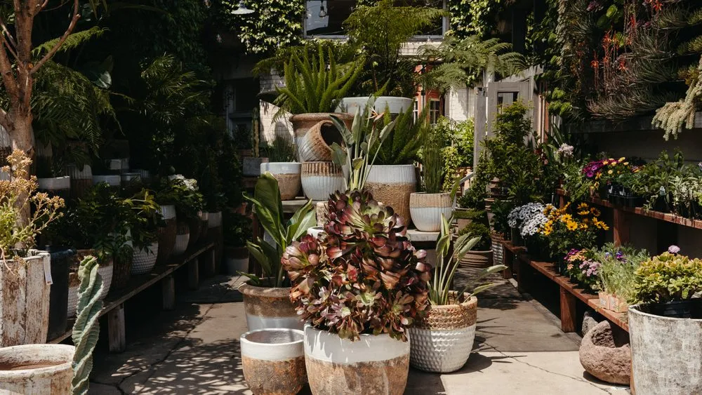 Professional lawn mowing service in Los Angeles, CA by Rolling Greens