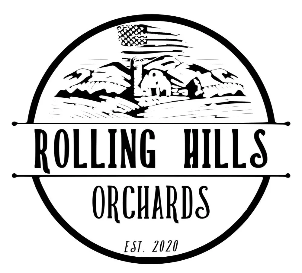 Professional outdoor landscaping in Cornelia, GA by Rolling Hills Contractors