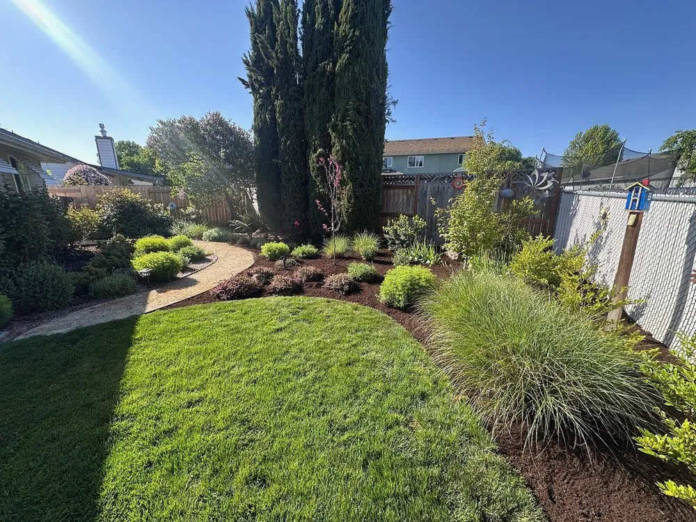 Reliable lawn care service for beautiful yards across White City, OR - Rolling Hills Landscape and Irrigation
