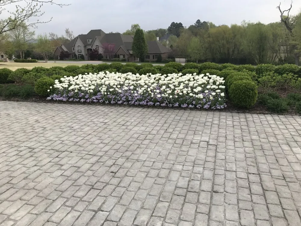 Trusted landscaping services for year-round maintenance across Fayetteville, AR - Rolling Hills Landscaping