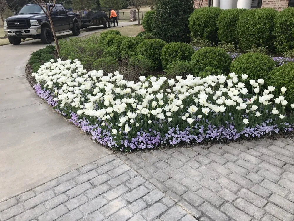 Trusted landscape design for year-round maintenance in Fayetteville, AR by Rolling Hills Landscaping