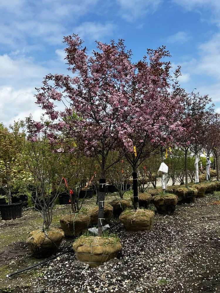 Trusted outdoor landscaping experts serving Lincolnshire, IL - Rolling Hills Nursery