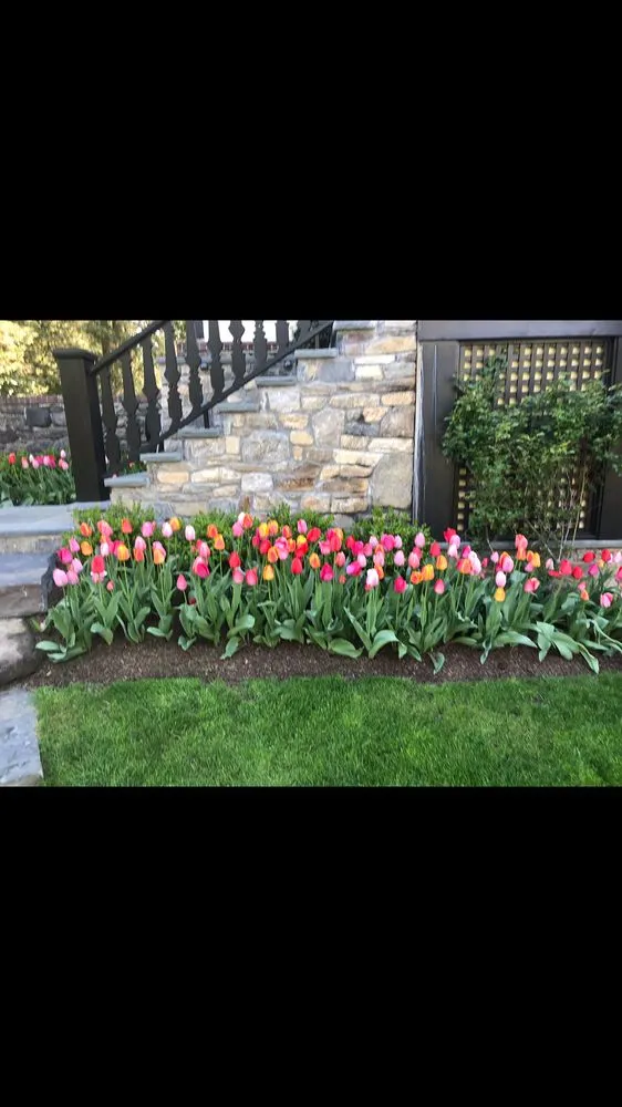 Custom lawn care service with custom design in Port Chester, NY by Rolling Hills One
