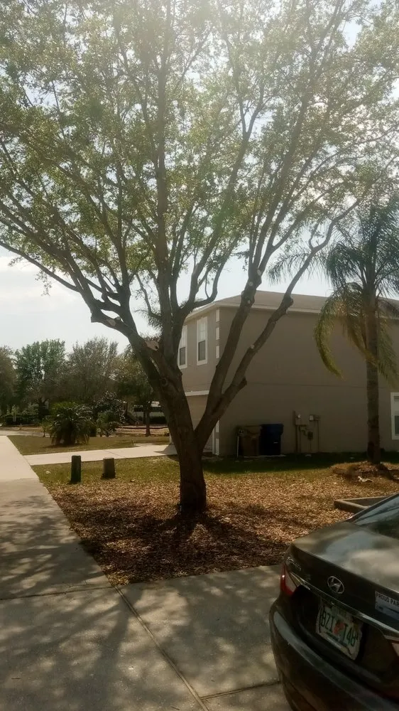 Top-rated landscape installation in Groveland, FL - Rolling Hills Tree Company