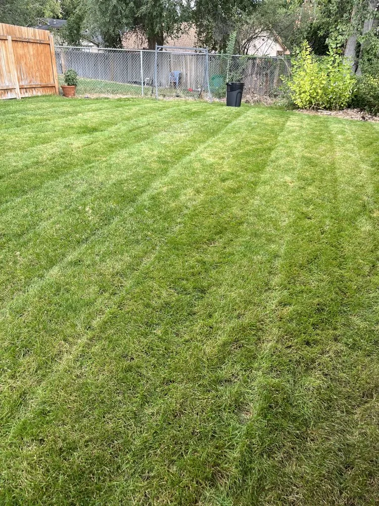 Reliable lawn mowing service experts serving Nampa, ID - Rolling Lawn Care