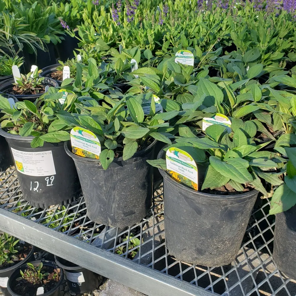 Custom residential landscaping experts serving Olathe, KS - Rolling Meadows Landscape & Garden Center