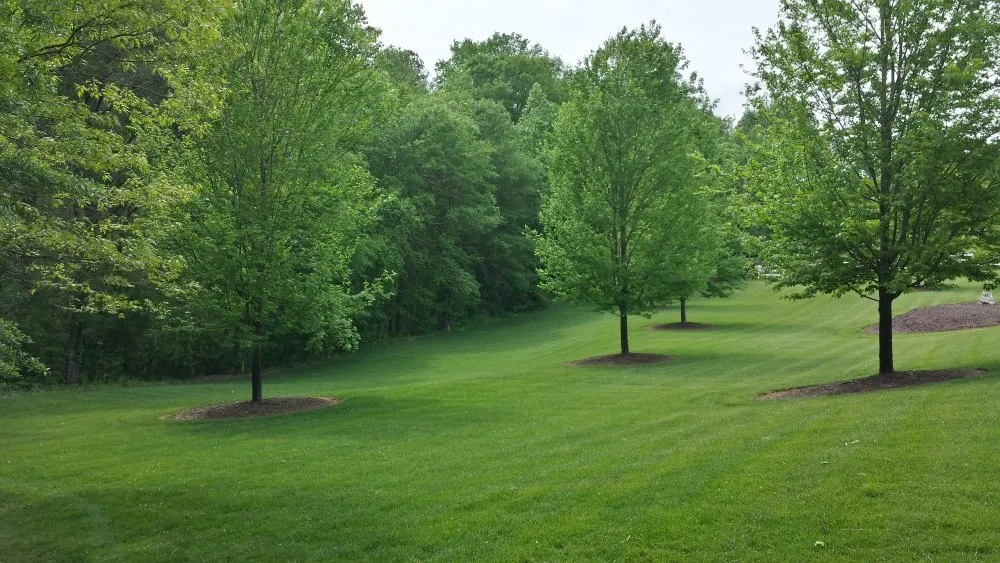 Expert garden landscaping near you in Anderson, SC by Rolling Ridge Landscaping