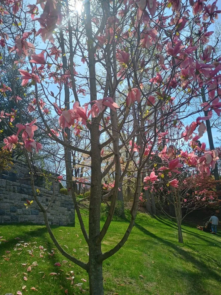 Trusted lawn care service for outdoor upgrades in Syracuse, NY by Rolling Scapes Landscaping And Service