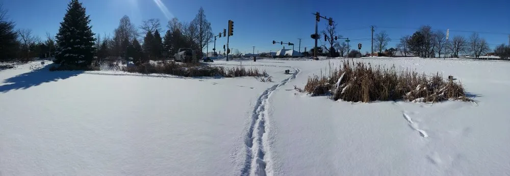 Top-rated lawn care service for outdoor upgrades in South Elgin, IL by Rollins Aquatic Solutions