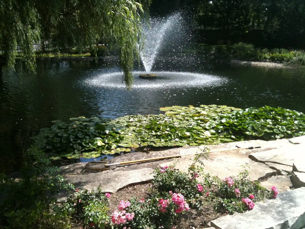 Professional yard cleanup service experts serving South Elgin, IL - Rollins Aquatic Solutions