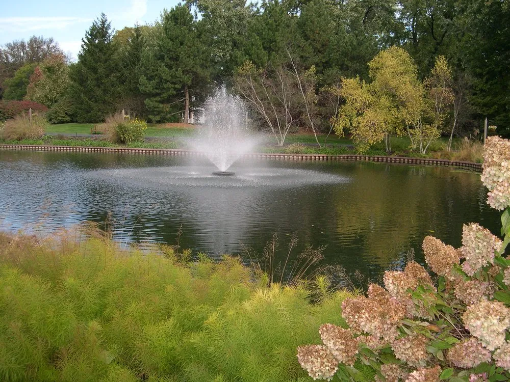 Trusted residential landscaping for homes across South Elgin, IL - Rollins Aquatic Solutions