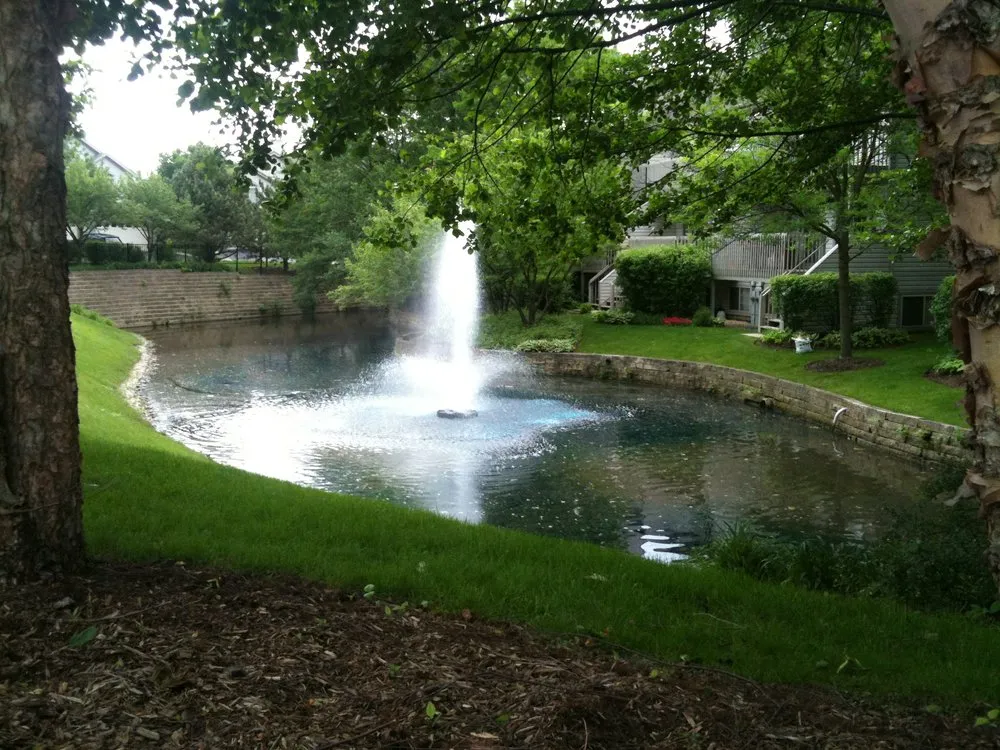 Custom yard maintenance in South Elgin, IL - Rollins Aquatic Solutions