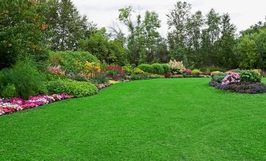 Top-rated yard maintenance experts serving Caldwell, NJ - Rollins Lawns