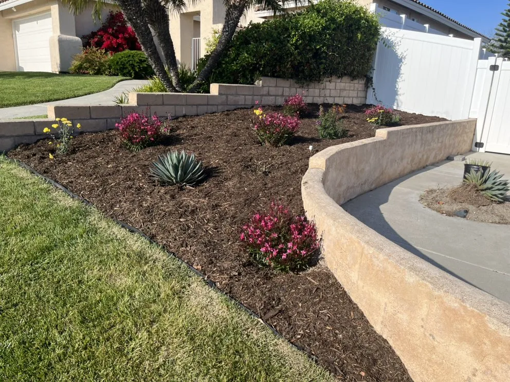 Custom residential landscaping for outdoor upgrades across Oceanside, CA - Rolly Polly Landscaping