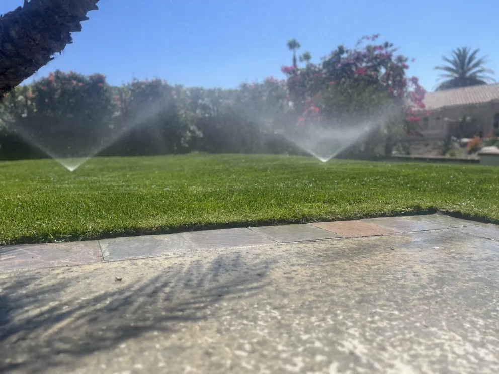 Top-rated landscape installation experts serving Oceanside, CA - Rolly Polly Landscaping