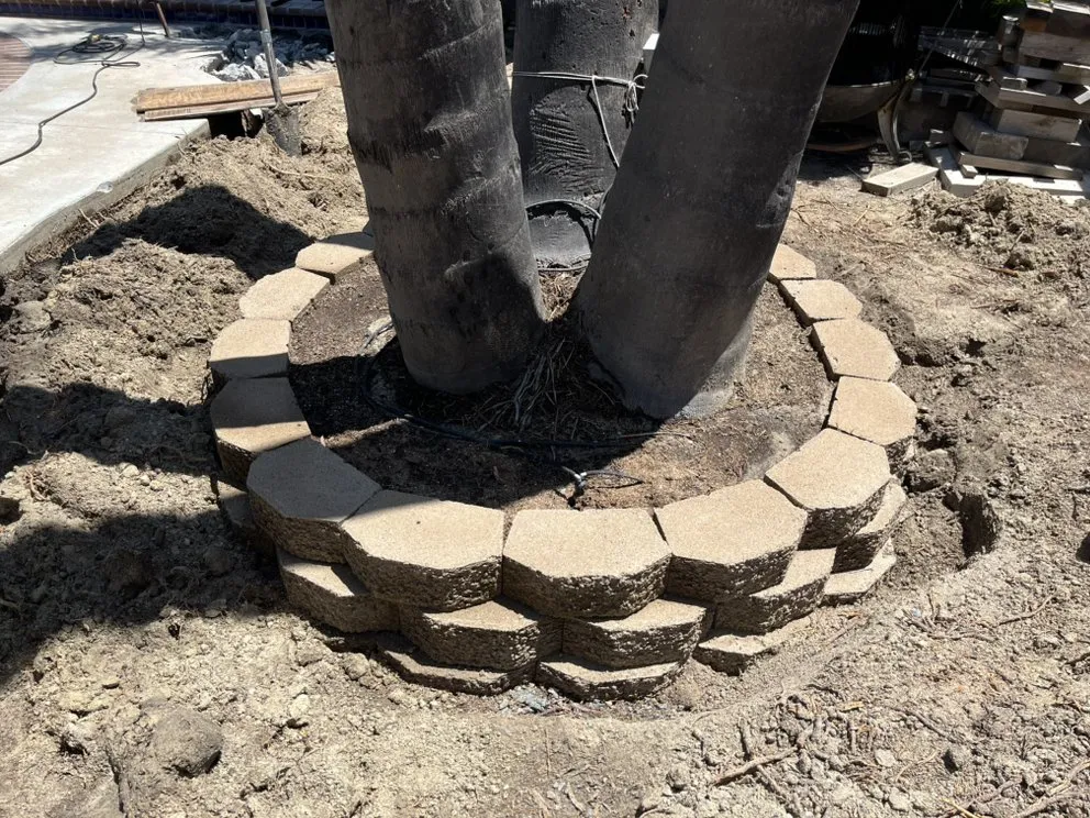 Affordable landscape design in Oceanside, CA by Rolly Polly Landscaping