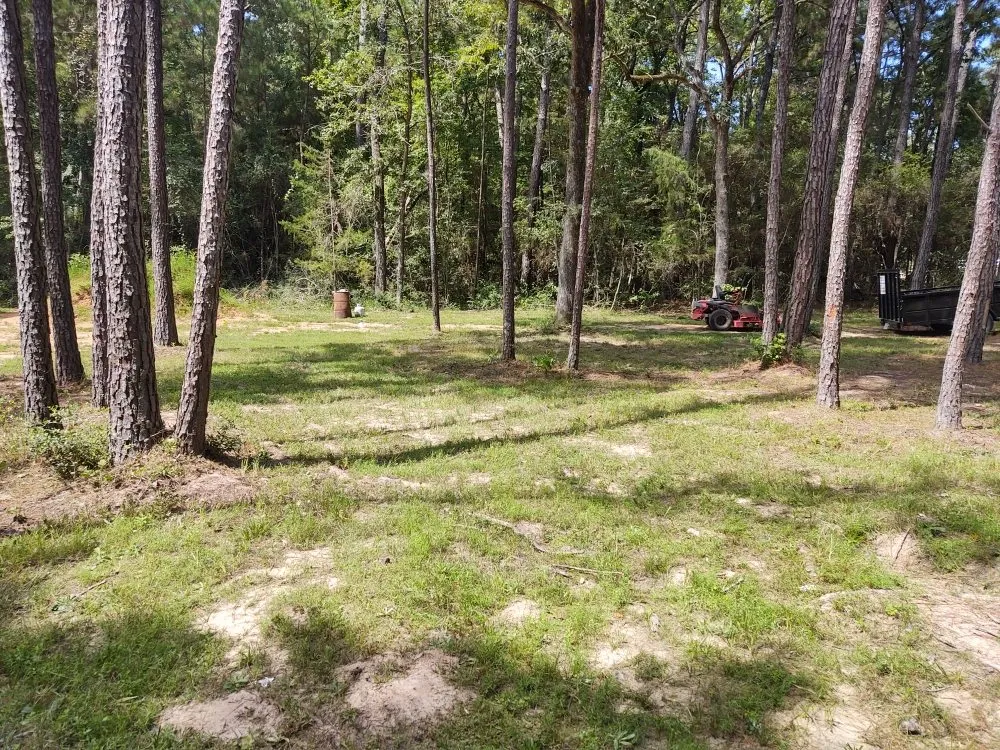 Custom lawn care service in Trinity, TX by Roma AgriCare