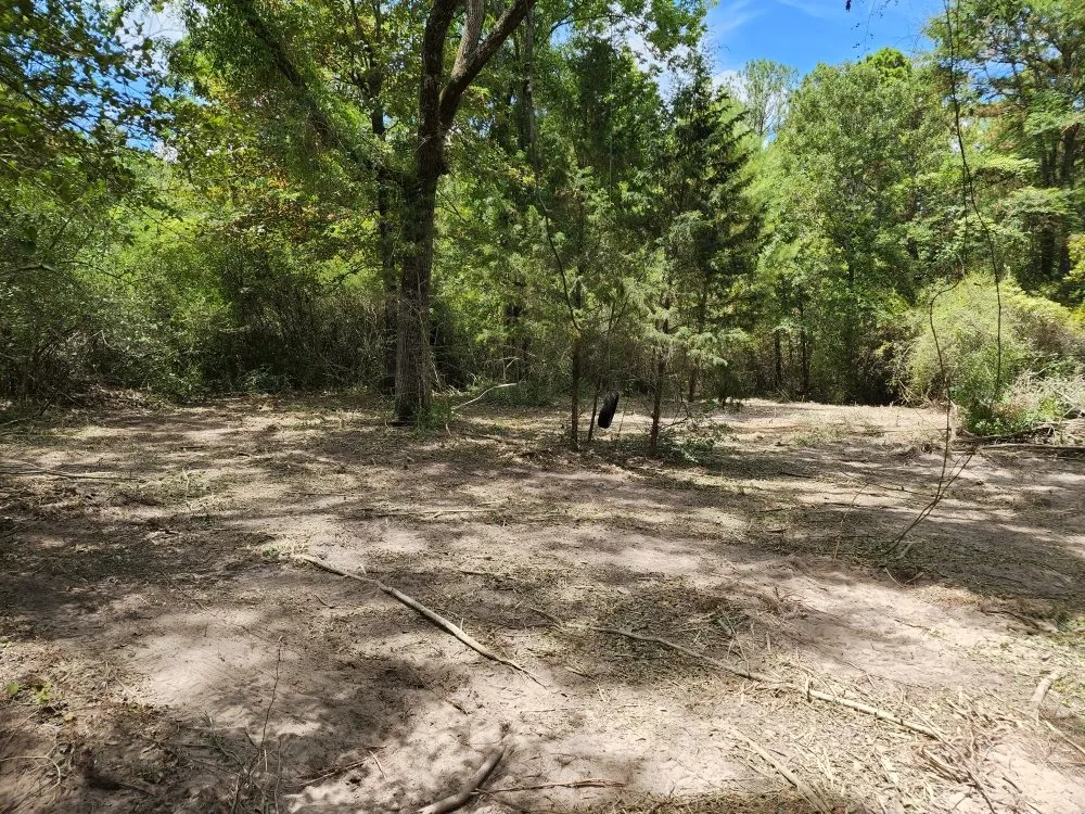 Top-rated yard cleanup service in Trinity, TX by Roma AgriCare